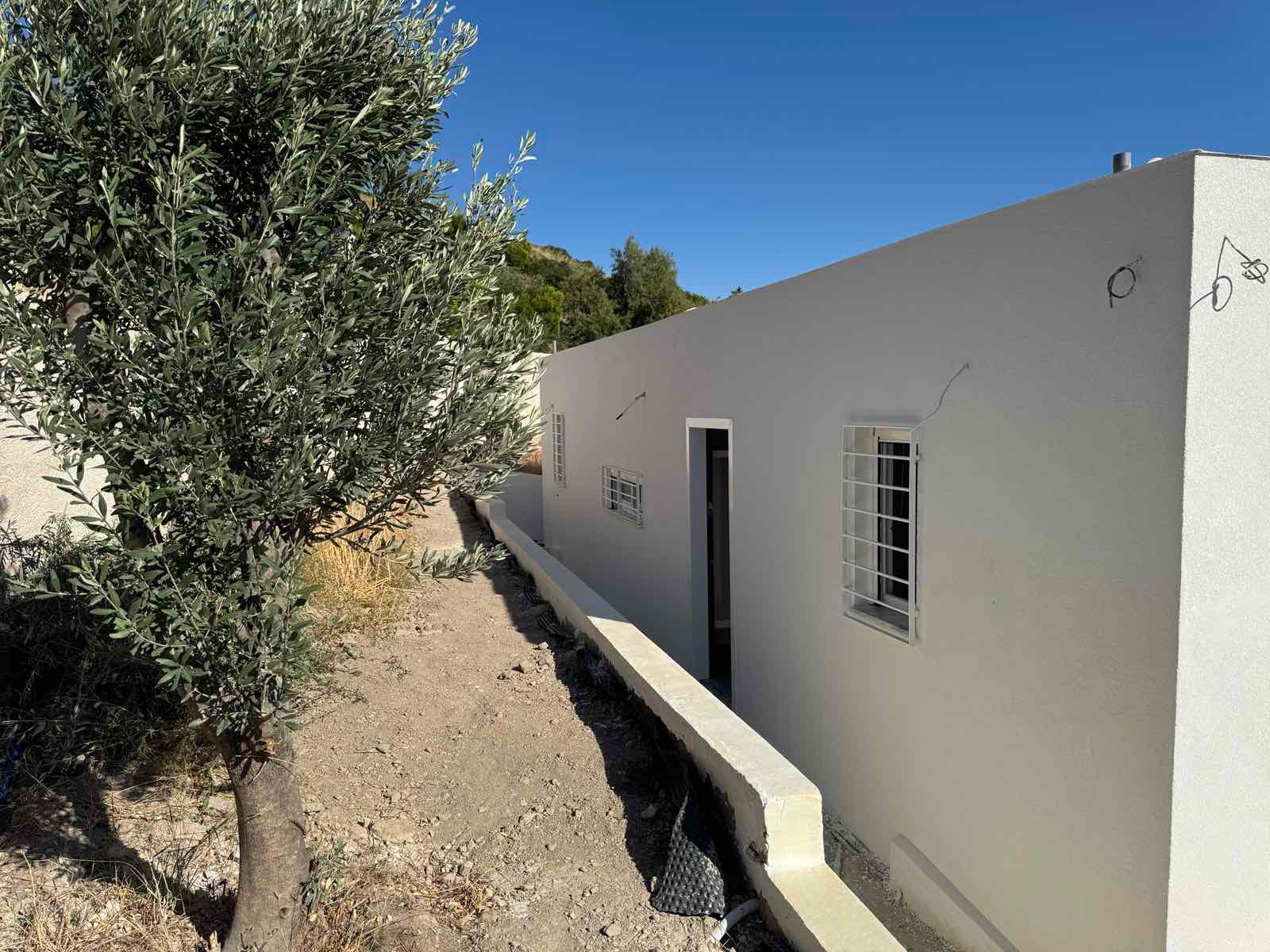 Olive Tree Villa Exterior