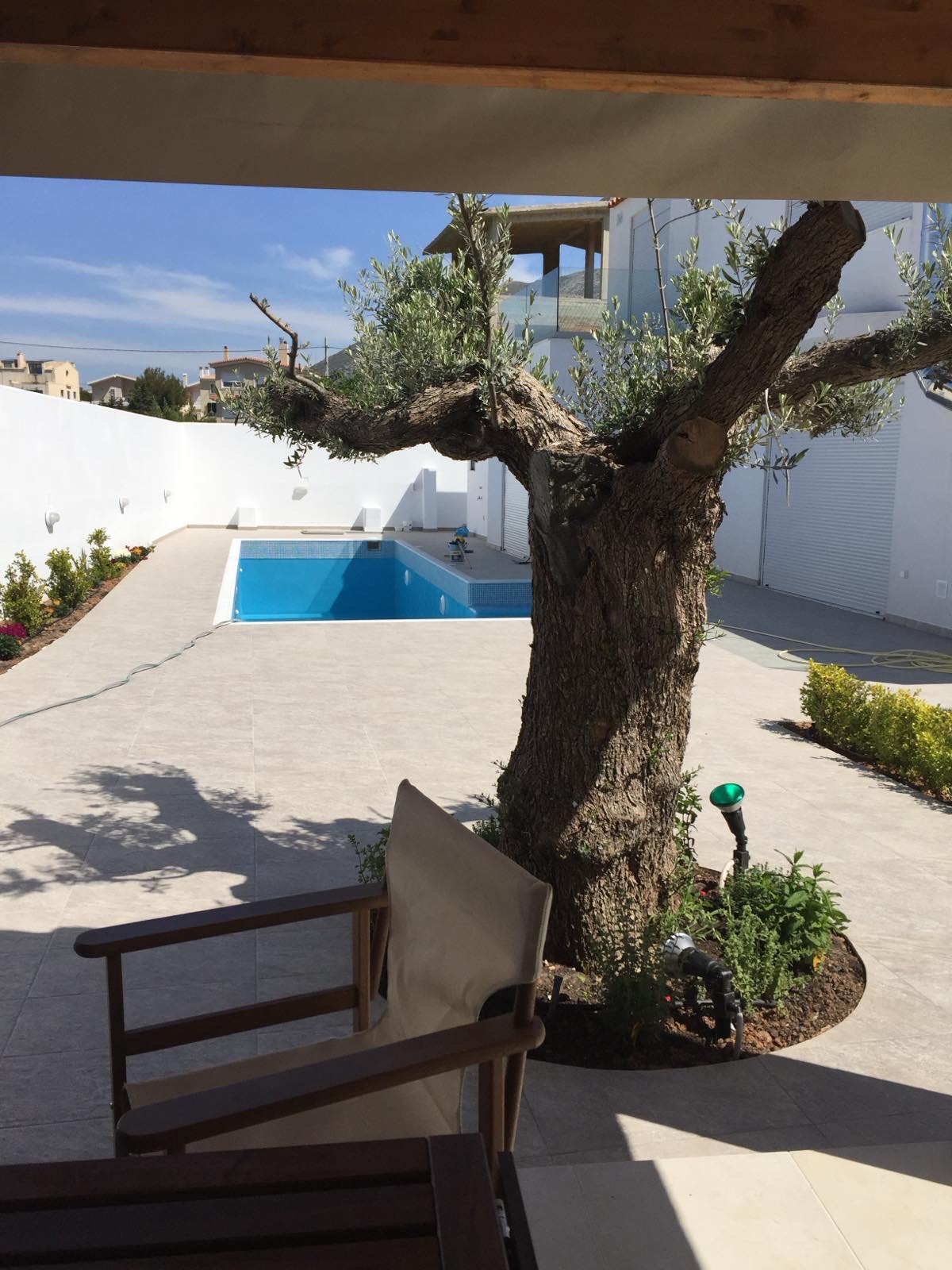 Olive Tree Pool Courtyard